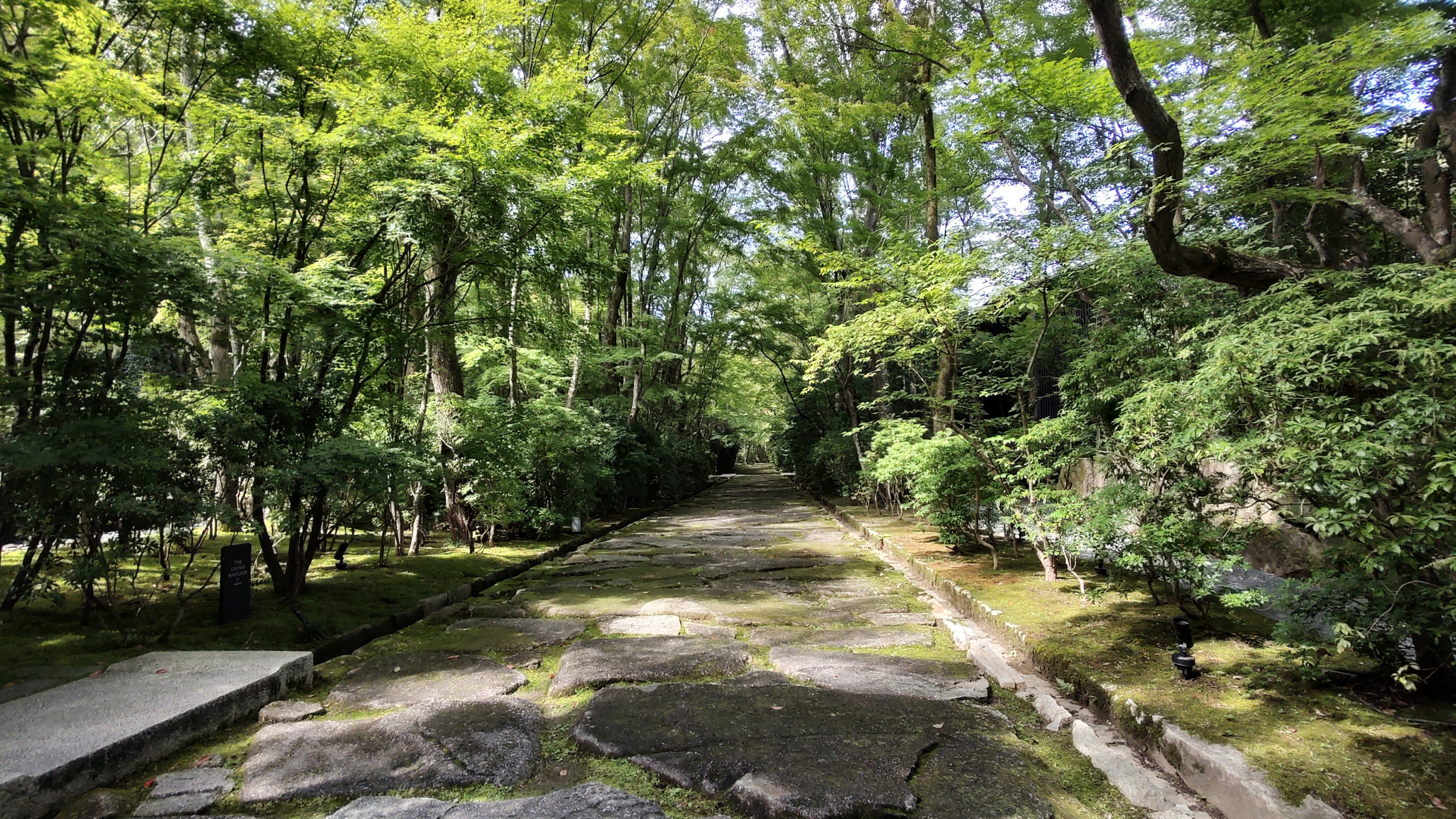 img_20220928_125241986_hdr.jpg